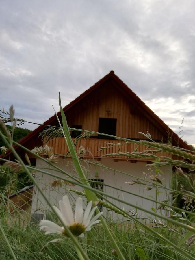 Bioferienhaus Muster - Dominkusch Possnitz Exteriör bild